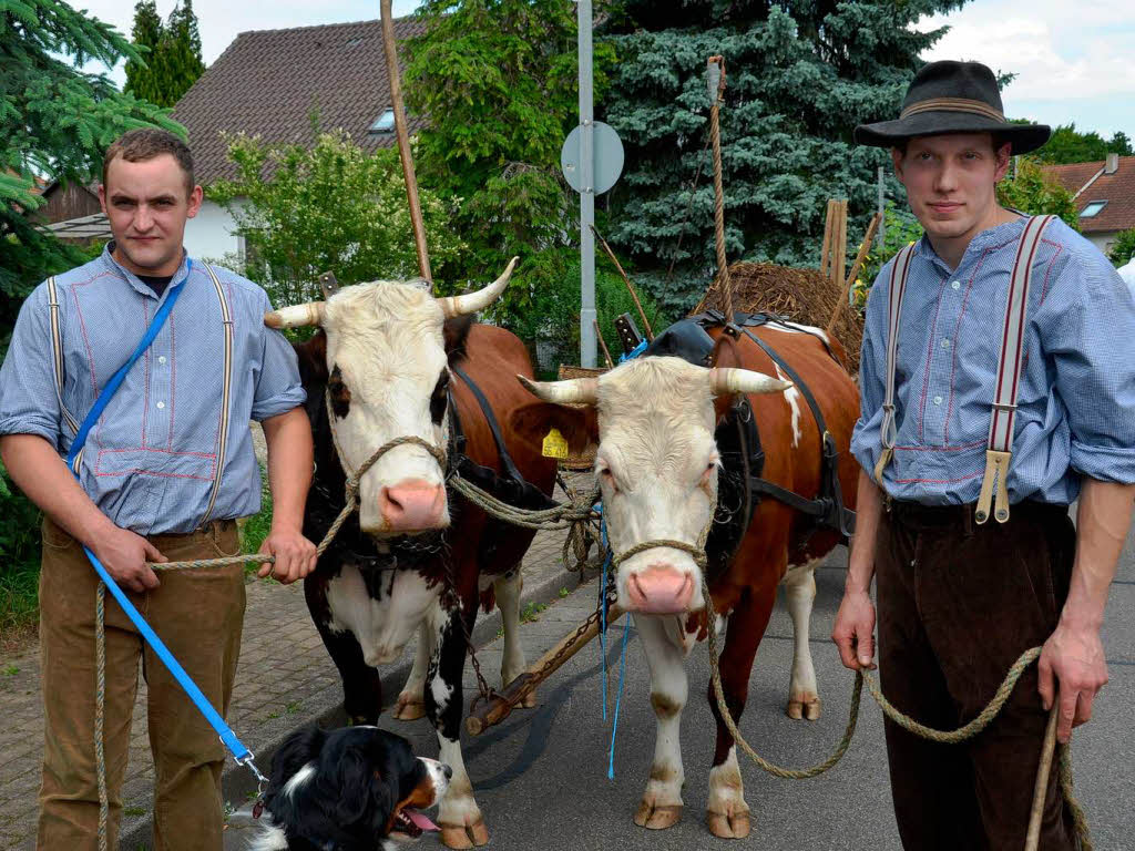 Rund 800 Teilnehmer waren beim groen Jubilumsumzug der WG Wolfenweiler auf den Beinen.