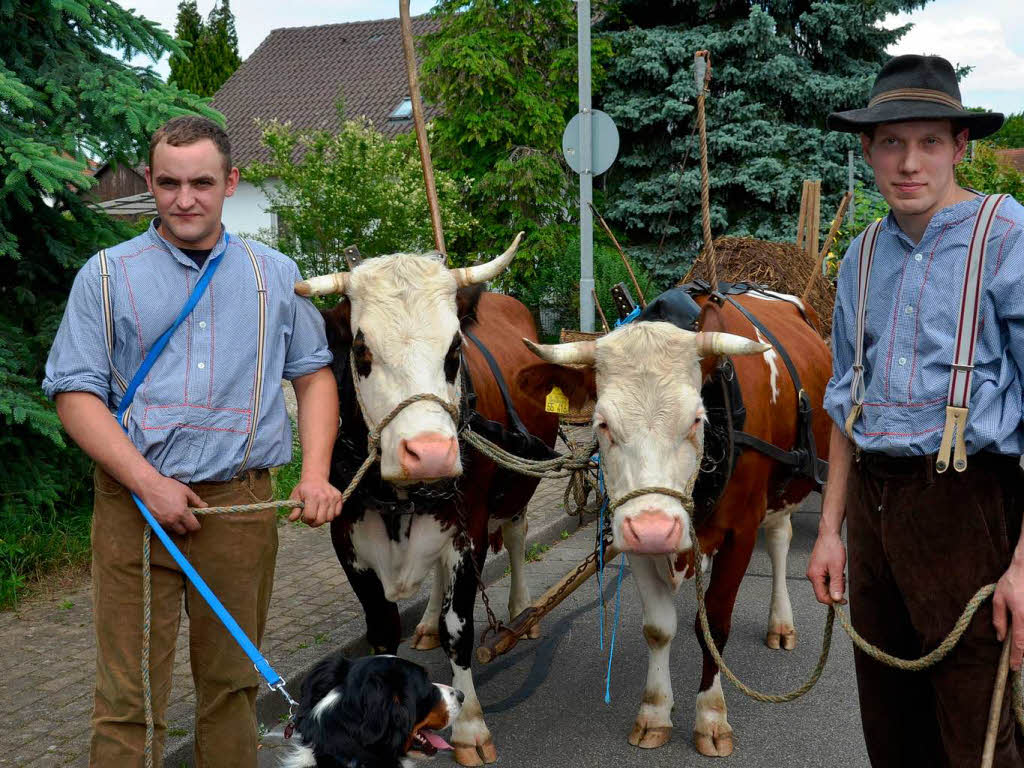 Rund 800 Teilnehmer waren beim groen Jubilumsumzug der WG Wolfenweiler auf den Beinen.