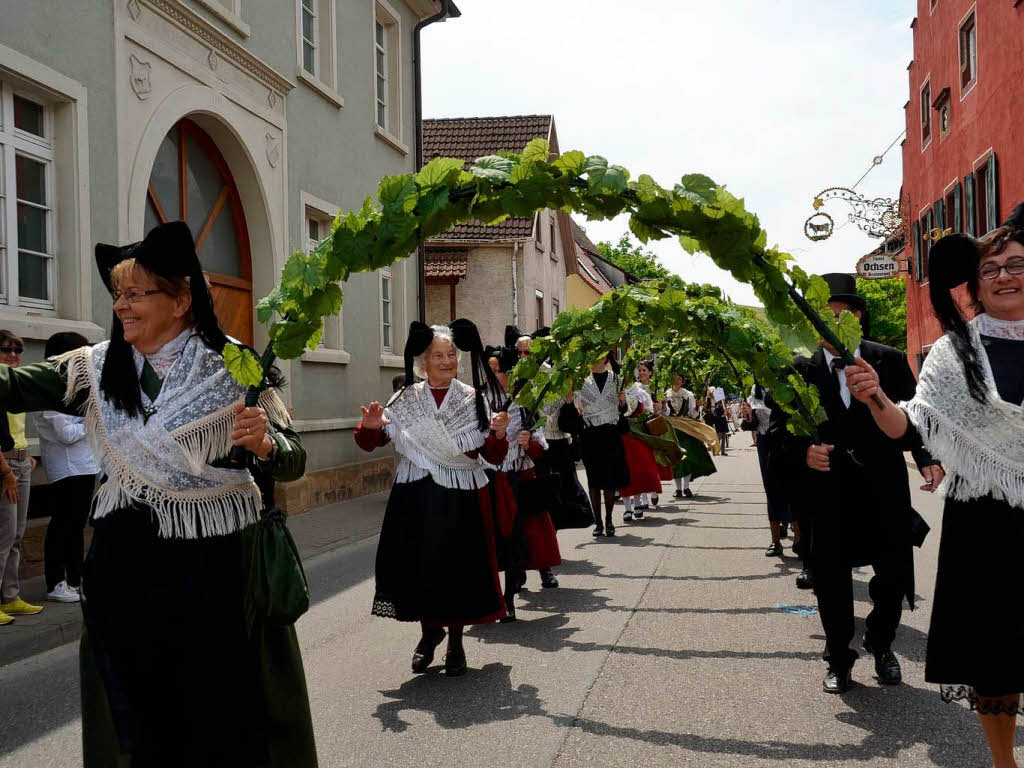 Rund 800 Teilnehmer waren beim groen Jubilumsumzug der WG Wolfenweiler auf den Beinen.