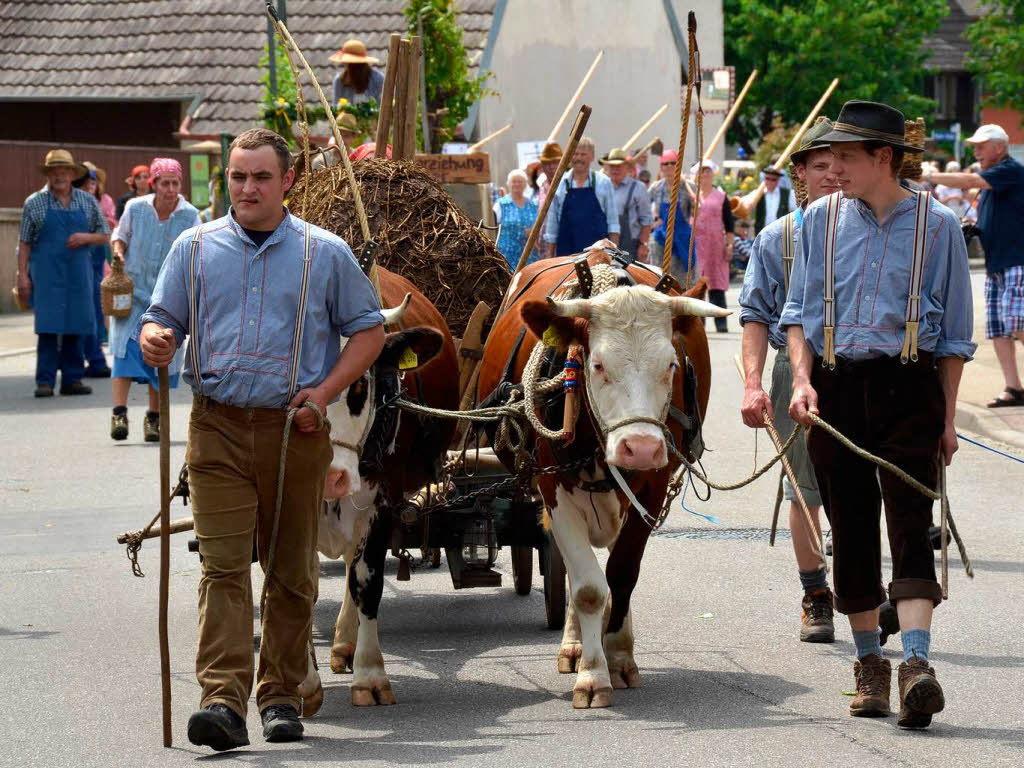 Rund 800 Teilnehmer waren beim groen Jubilumsumzug der WG Wolfenweiler auf den Beinen.