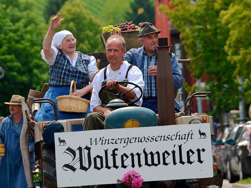 Rund 800 Teilnehmer waren beim groen Jubilumsumzug der WG Wolfenweiler auf den Beinen.