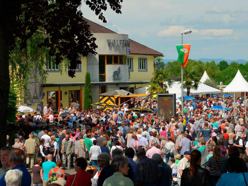 Rund 800 Teilnehmer waren beim groen Jubilumsumzug der WG Wolfenweiler auf den Beinen.