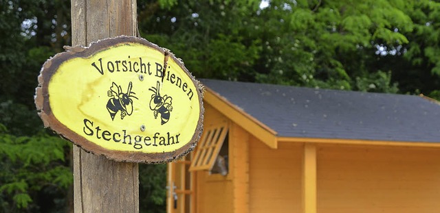 Es summt und brummt um das neue Bienenhaus im Kurpark.  | Foto: S Mller