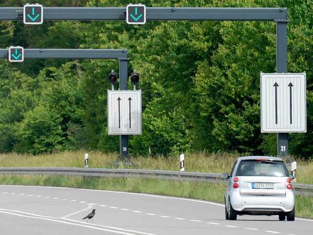 Im Streit zwischen dem Ortenaukreis un... die Behrden einen Baustopp verhngt.  | Foto: dpa