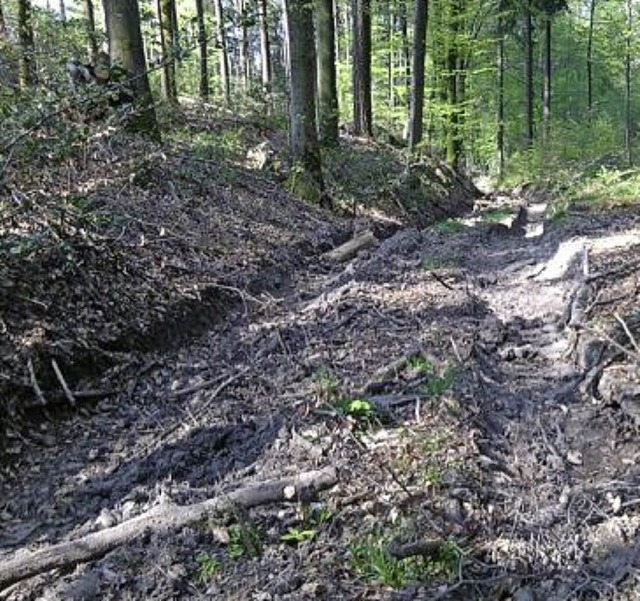 Schwer passierbar ist derzeit der Weg zwischen Obersckingen und Harpolingen.   | Foto: Nicole Sutter