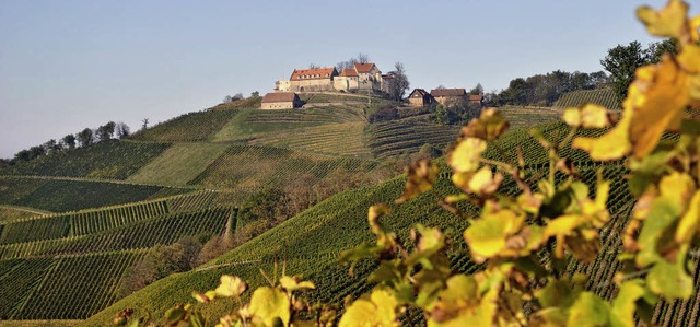 Die Wahl zu Fen des Schlosses  | Foto: rob