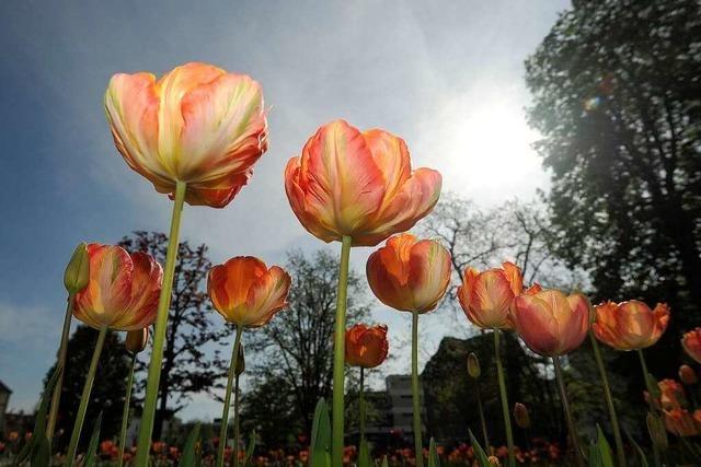 Fotos: Zu Besuch auf der Landesgartenschau Schwbisch Gmnd