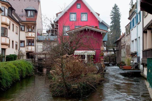 Schlauer werden am Gewerbekanal in Waldkirch