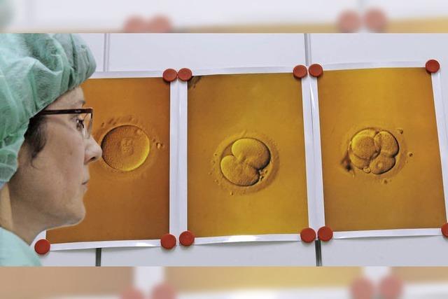 Schutz von Embryos fest im Blick