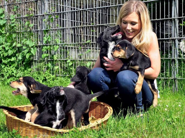 Elena Jahn mit Hundewelpen im Tierheim...wohl nicht lange im Tierheim bleiben.   | Foto: Thomas Kunz