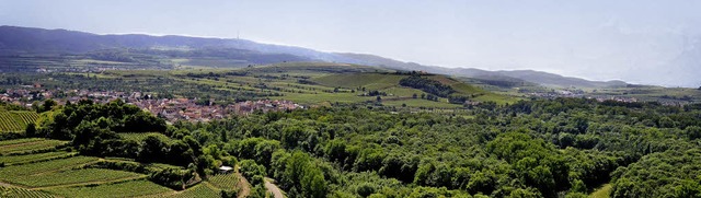 Sasbach. Sasbach vom Limberg.  | Foto: Roland Vitt