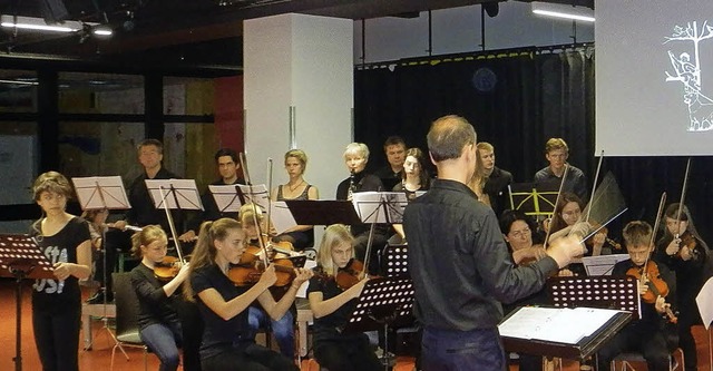 Schler der Jugendmusikschule Dreisamt...von &#8222;Peter und der Wolf&#8220;.   | Foto: Hartwig Kluge