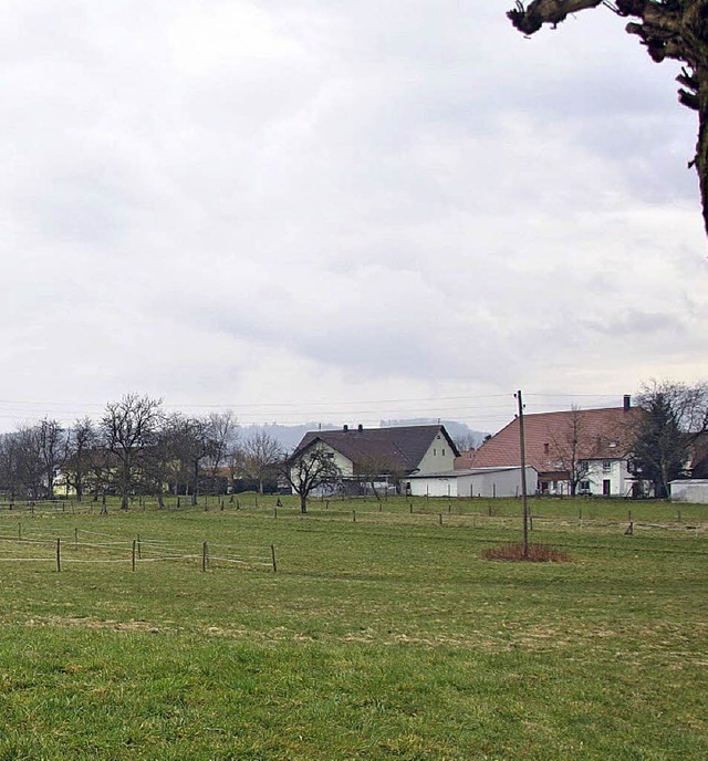 Trgerische Ruhe: der Saffergarten in Niederhof   | Foto: Ralph Fautz