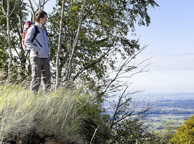 Guckinsland: Der Name des Wanderwegs ist Programm.   | Foto: Tourismusgemeinschaft Gehrenberg-Bodensee