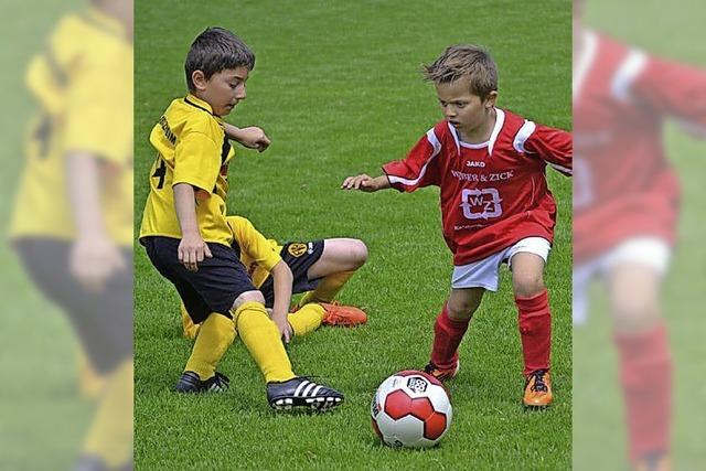 Nachwuchskicker sorgen fr buntes Fuballfest