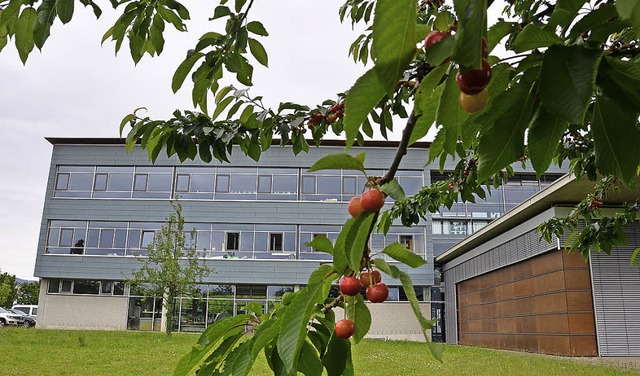 68 junge Damen und Herren konnten nun ...m Bad Krozinger Kreisgymnasium ernten.  | Foto: A. Huber