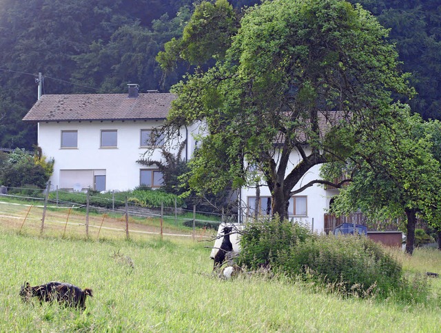 Hof in Haagen: Ausbauplne fr Pferdeh...r Ortschaftsrat stimmt den Plnen zu.   | Foto: Thomas Loisl Mink