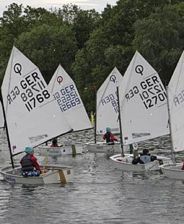 Auf dem Rhein bei Breisach fand wieder eine Regatta fr junge Segler statt.  | Foto: privat
