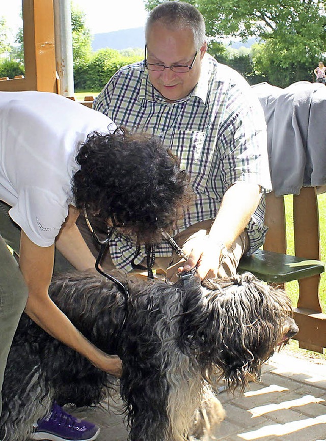 Claudia Schtz impft hier einen Hund.   | Foto: Albert Greiner