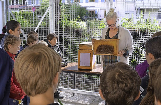 Grundschler der Kastelbergschule Wald...fuhren Wissenswertes ber die Bienen.   | Foto: Niklas Perin