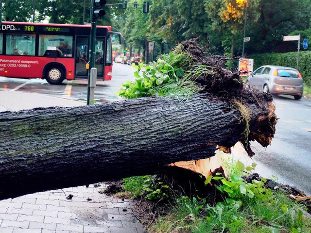 Die wichtigsten Fragen und Antworten r...Versicherungen bei Sturmschden&#8220;  | Foto: dpa