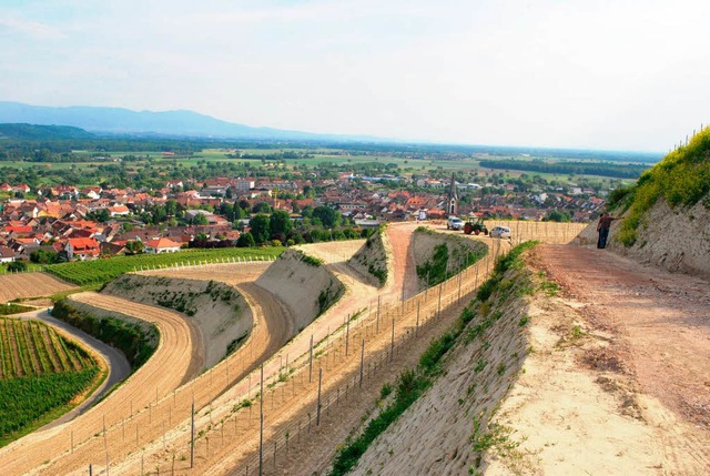 Blick vom Gebiet &#8222;Schlichten&#8220; auf Ihringen  | Foto: Benjamin Bohn