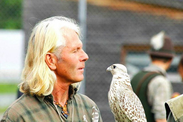 Entflogen    und in  Lrach  aufgefund...   Falkenweibchen Kasha wieder da  ist  | Foto: BZ