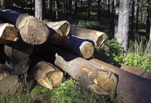 Wichtiges Wirtschaftsgut: Holz  | Foto: Patrik Mller