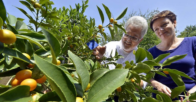 Friederike Gallenmller, Thomas Speck und ein Kumquat-Strauch  | Foto: Michael Bamberger