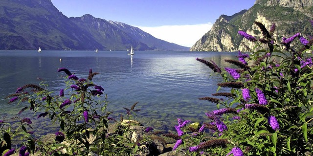 Der ewige Traum vom Sden: das Westufer des Gardasees  | Foto: Azienda di promozione turistica