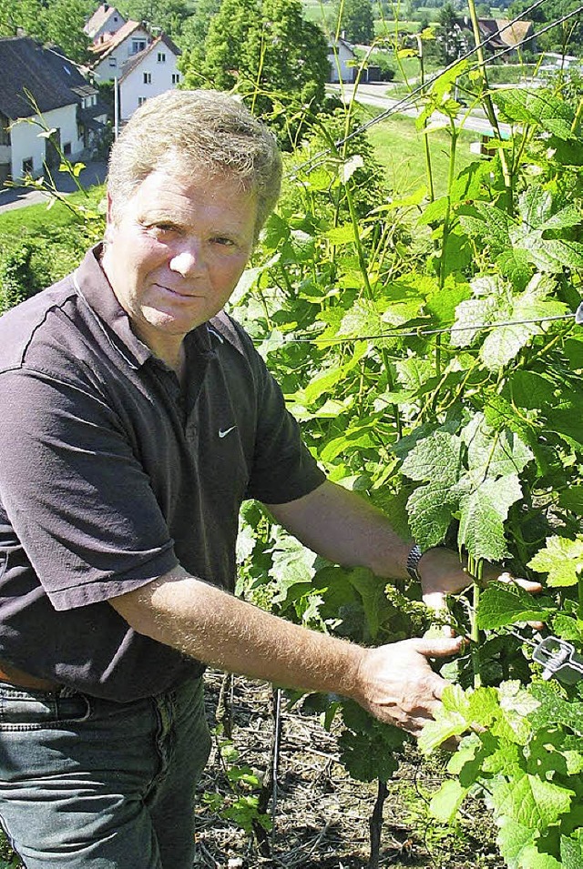 Bernhard Huber  | Foto: Gerda Oswald