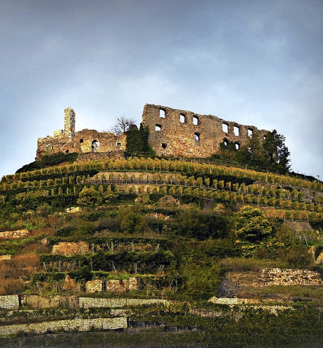 Die Burgruine zu Staufen (links), der ...gen Ausflge des DRK-Seniorensommers.   | Foto: ZVG/mkm/Privat