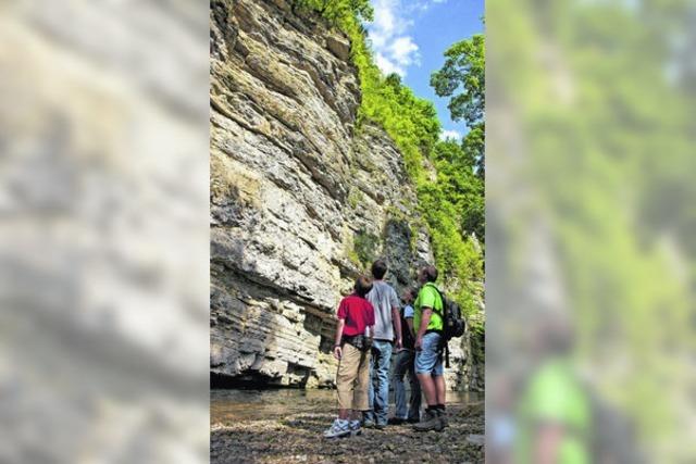 Etwas weniger Touristen