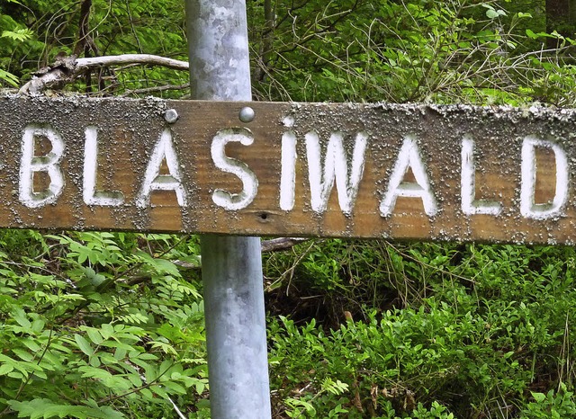 Blasiwald...  | Foto: Thomas Mutter