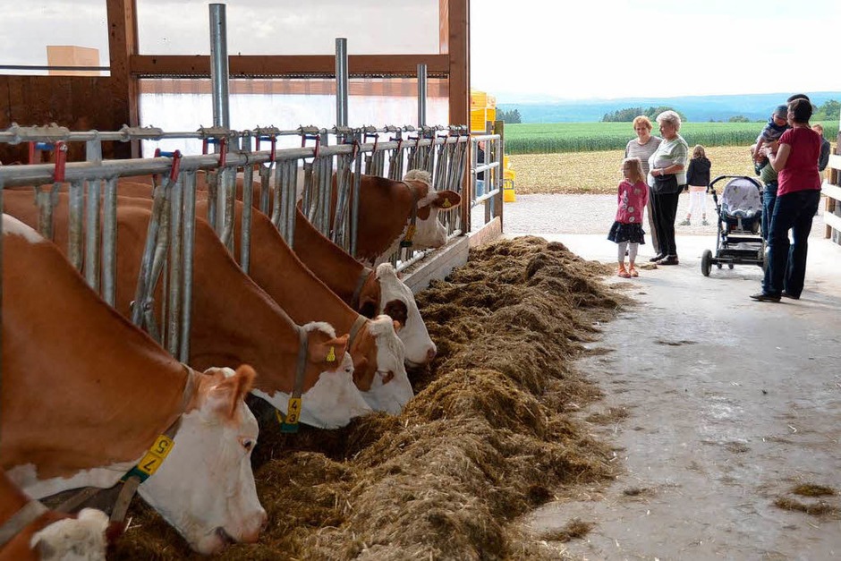 Kann als großer Erfolg gewertet werden: Der Tag der offenen Höfe. (Foto: Juliane Kühnemund) Kann als großer Erfolg gewertet werden: Der Tag der offenen Höfe. (Foto: Juliane Kühnemund)