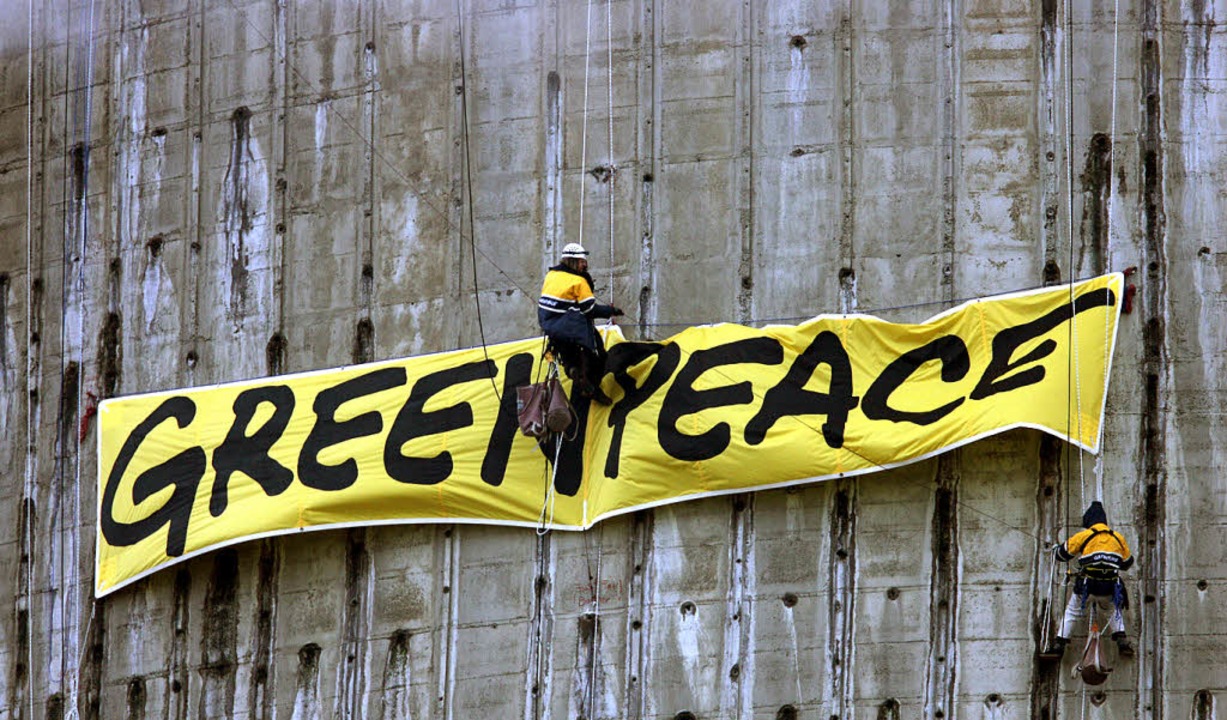 Greenpeace Macht Verluste Bei Spekulationen Gegen Den Euro