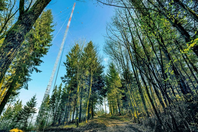 Noch steht der Windmessmast auf der Pr...der Windkraftrder wird er demontiert.  | Foto: Michael Bode