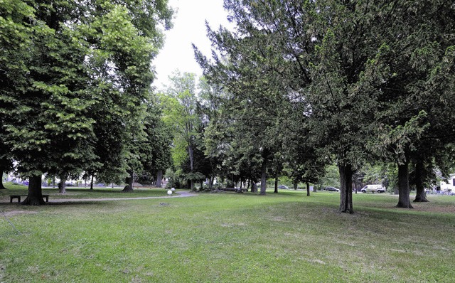 Der Stadtgarten: Schnes Ambiente fr das Musikfest.  | Foto: Gollrad