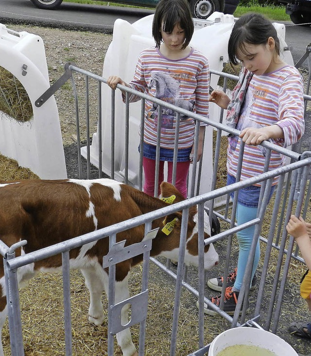 Beim Tag des offenen Hofs in Oberhepsc... Kinder an den Klbchen ihre  Freude.   | Foto: Wiezel