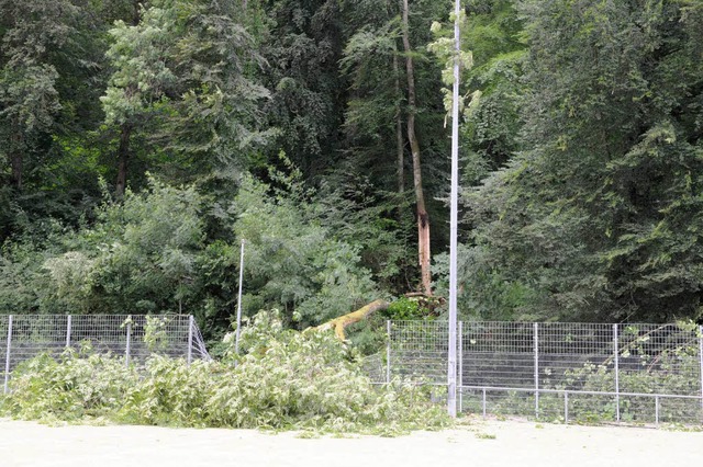 Geknickt wie die Starkstromleitung, de...he Stabmattenzaun beim Eichwaldstadion  | Foto: Volker Mnch