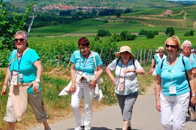 1600 Weinwanderer in Oberrotweil