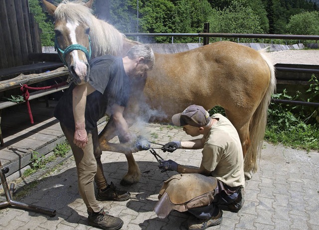 Das tut dem Pferd nicht weh: Hufschmied Mayer bei der Arbeit.   | Foto: privat