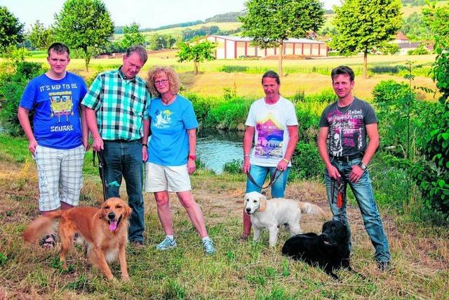 Biber attackiert schwimmende Hunde