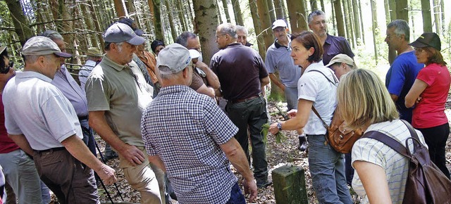 &#8222;Achtet auf die Grenzsteine&#822...fs zwischen den Drfern am Dinkelberg.  | Foto: Vera Winter