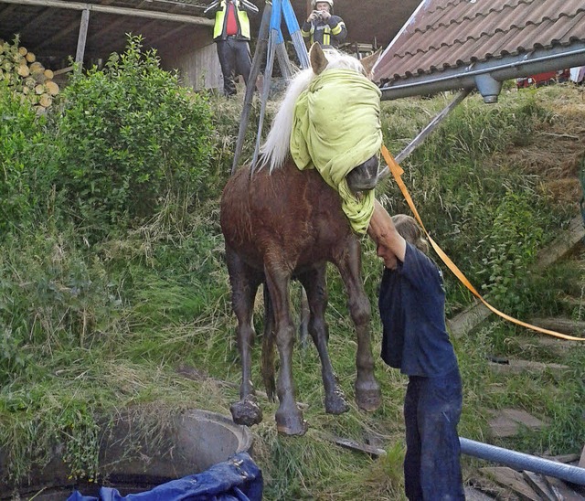 Gelungene Rettungsaktion der Feuerwehr... ruhig aus dem Brunnenschacht hieven.   | Foto: Feuerwehr