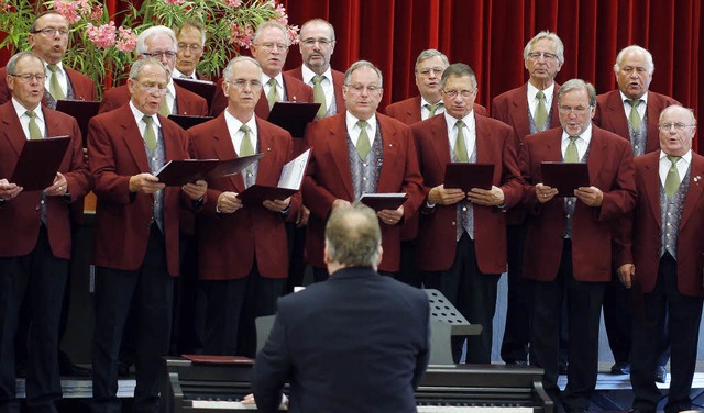 Der Mnnerchor Reichenbach hat sich stimmlich weiterentwickelt.   | Foto: Heidi Fssel