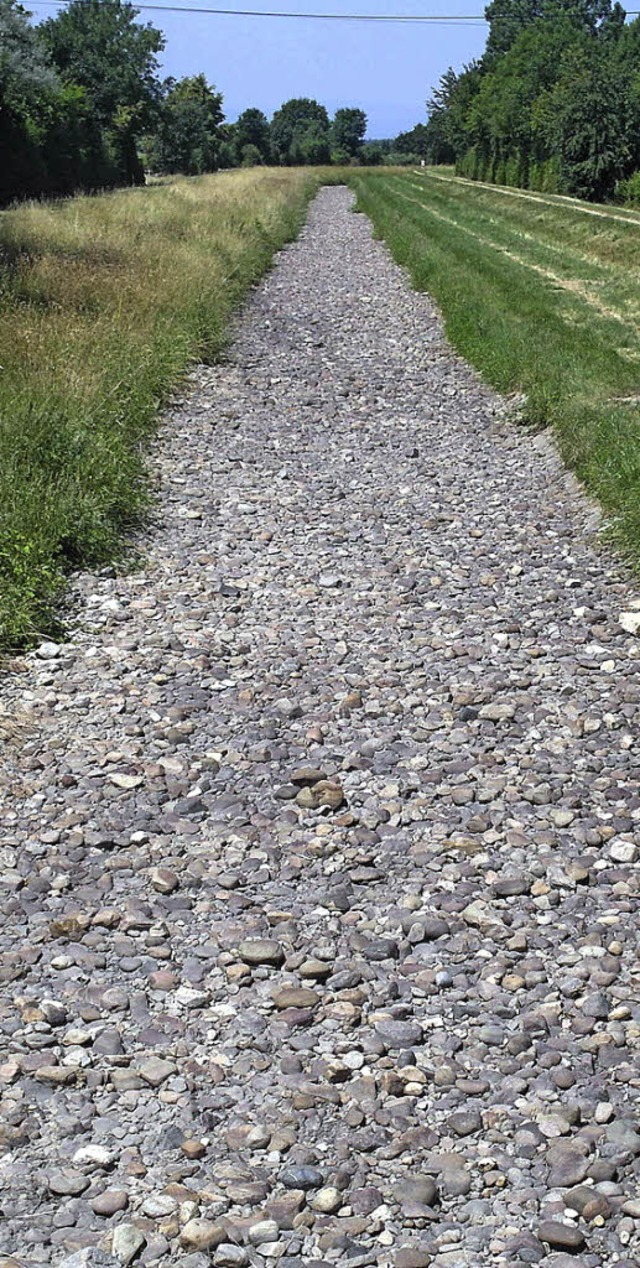 Steine statt Wasser: der ausgetrocknete Neumagen bei Biengen.  | Foto: Gottfried Blansche