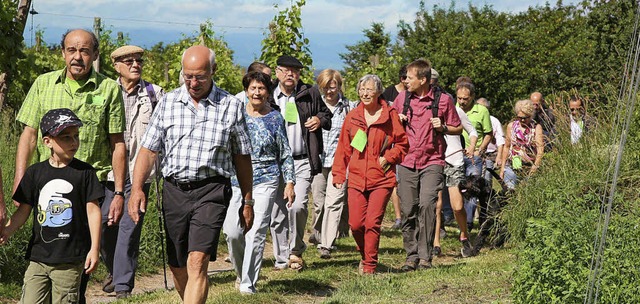 Die Natur und ein gutes Men mit Wein ...en  250 Wanderer bei der TG Altdorf.   | Foto: sandra decoux-kone