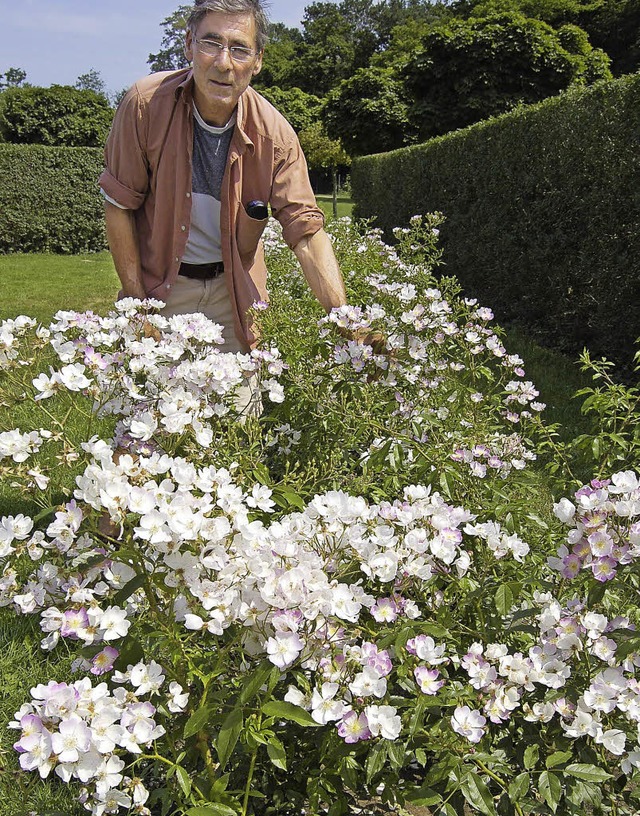 Ein Projekt, das der Frderverein im D...er John Scarman angelegte Rosengarten   | Foto: Archivbild: Jochen Fillisch