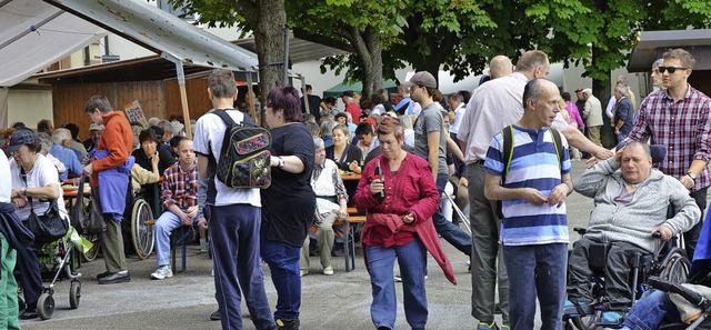 Zum Sommerfest strmen die Besucher immer in Scharen.  | Foto: Martina Proprenter